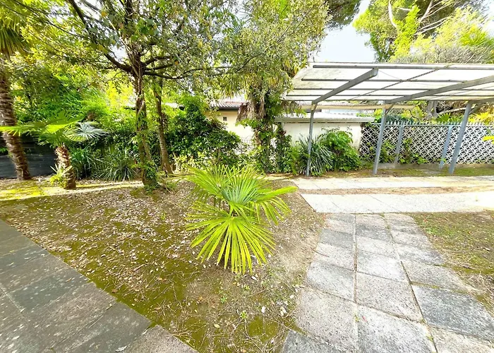 In 54706 ビビオーネ