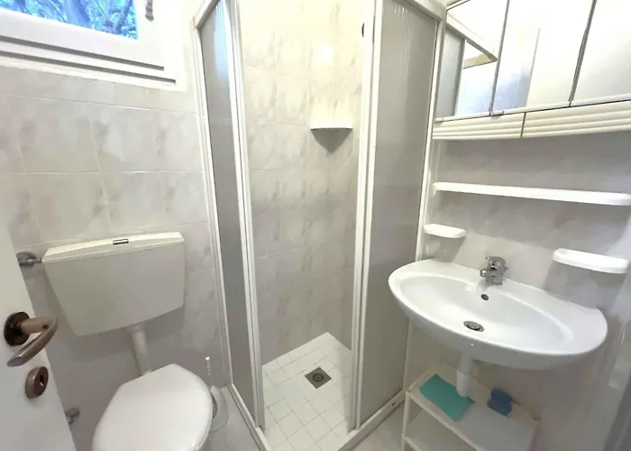 In 54706 * ビビオーネ